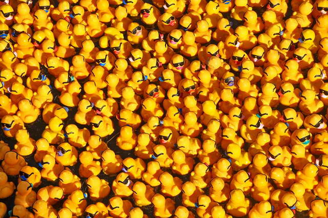 Maschseefest   533.jpg